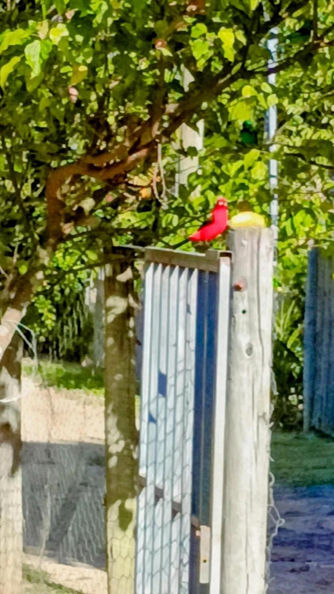 Pousada Casa Da Montanha Sana Exterior foto
